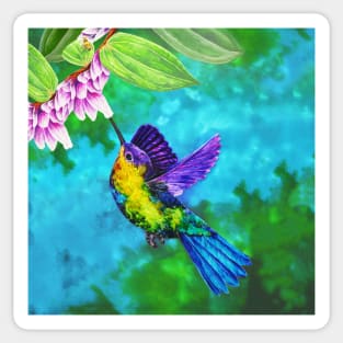 Colorful Hummingbird with Background Sticker